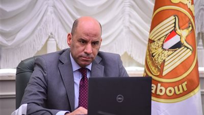 وزير العمل يبحث مع الملحقين العماليّين بالخارج تأمين بيئة لائقة للمصريين