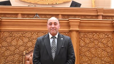 النائب حسام حسن الخشت يطالب الحكومة بمعالجة فجوة التشغيل في صعيد مصر