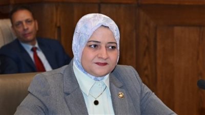 النائبه مروه قنصوه الربط الكهربائي المصري السعودي:نقلة نوعية في التعاون الاستراتيجي والطاقة