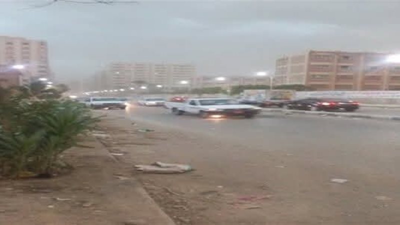 المواطن