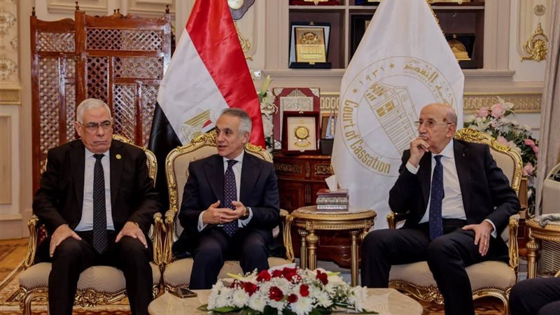 وزير العدل 