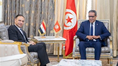 السفير المصري يبحث تعزيز التعاون البرلماني مع تونس