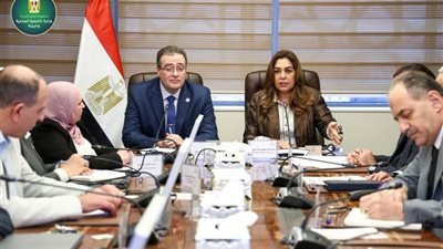 وزيرة التنمية المحلية والبيئة تبحث مع 