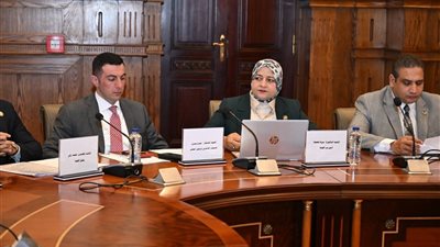النائبة مروة قنصوه أمين طاقة الشيوخ التداعيات الإقليمية توثر على الاقتصاد العالمي 