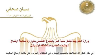 وزارة الخارجية،تشكل خلية عمل بالقطاع القنصلي بالوزارة لمتابعة أوضاع الجاليات المصرية بالمنطقة 
