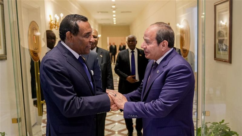 الرئيس السيسي 