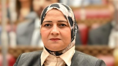 الدكتورة مروة قنصوه تشيد بجهود الحكومة: مصر جاهزة لمواجهة التحديات الإقليمية