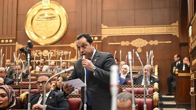 النائب محمد الجندي يتساءل عن مدى التزام الدولة بالاستحقاق الدستوري للبحث العلمي