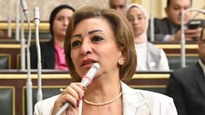  النائبة مها عبد الناصر تقدم طلب إحاطة بشأن ارتفاع أسعار تذاكر الطيران 