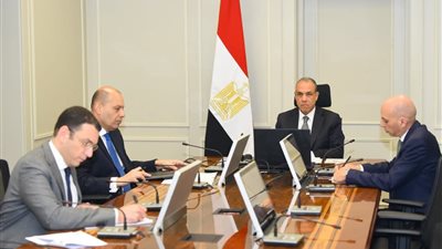وزير الخارجية المصري يبحث التصعيد العسكري في اجتماع جامعة الدول العربية