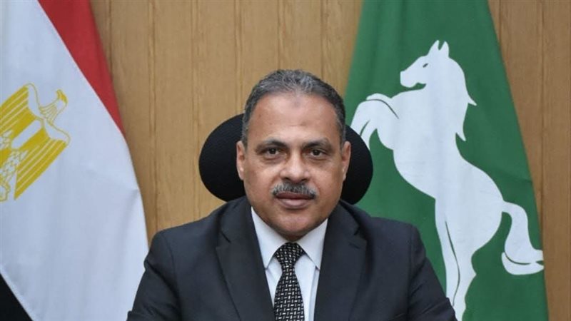 محافظ الشرقية 