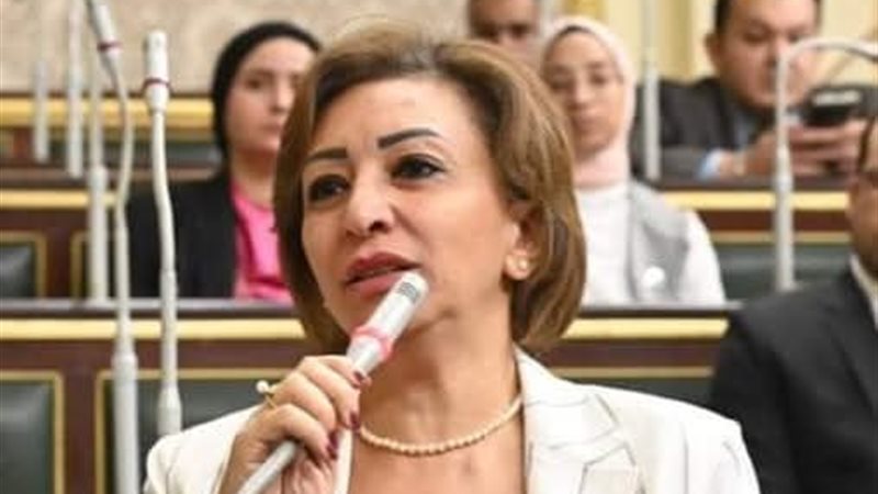النائبة الدكتورة