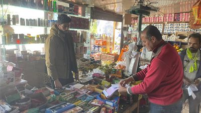 حملات تفتيش عمالية مكثفة بجنوب سيناء لضبط سوق العمل