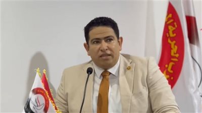 محمد رشيدي: مصر تقود جهود التهدئة في المنطقة