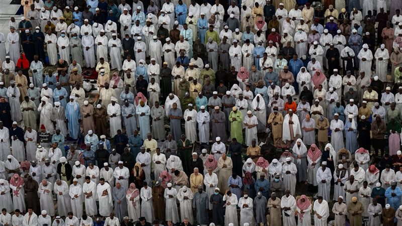 المواطن