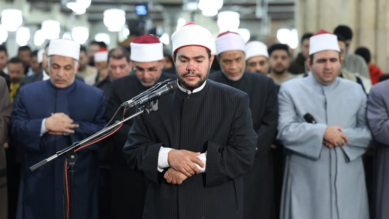 المواطن