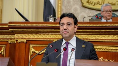  أيمن محسب:مصر حريصة على إحياء مفهوم الأمن القومي العربي بمواجهة التحديات المتصاعدة
