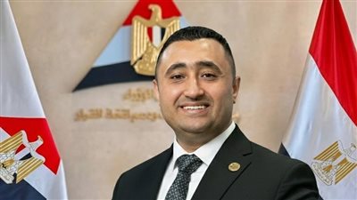 حزب الحركة الوطنية: الجولات المصرية الخليجية رسالة تضامن واضحة