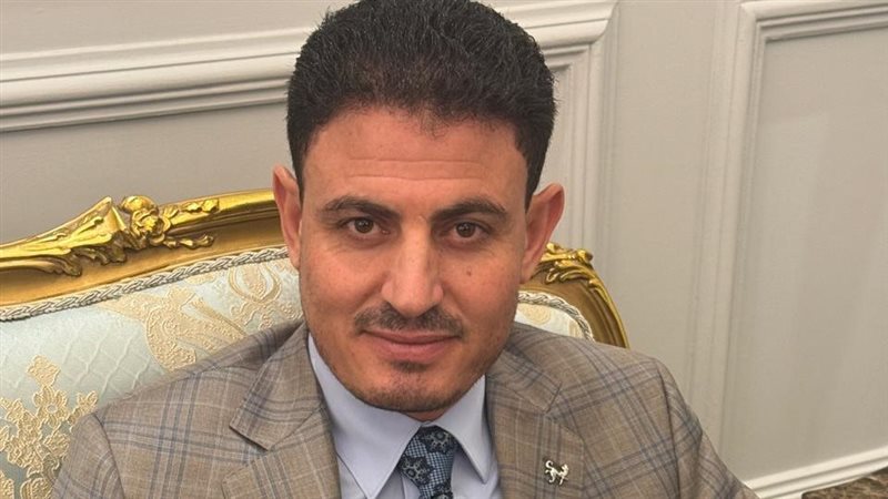 النائب عبدالناصر