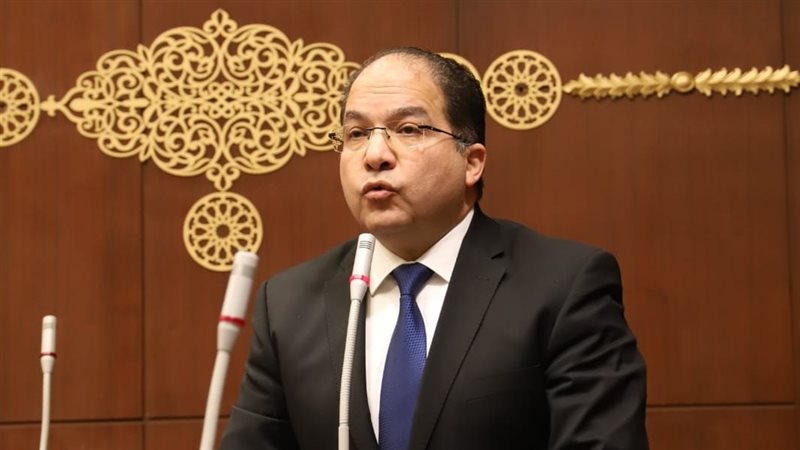 النائب عادل اللمعي