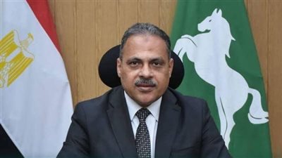 استجابة فورية محافظ الشرقية يوجّه بتصليح عمود إنارة متهالك في الزقازيق
