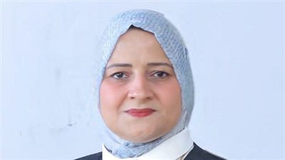 النائبه مروة قنصوه: إدارة الطاقة والمراقبة الاقتصادية ضرورة لمواجهة التحديات الراهنة