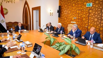 وزير الخارجية يبحث مع سفراء متقاعدين الموقف المصري من التطورات الإقليمية