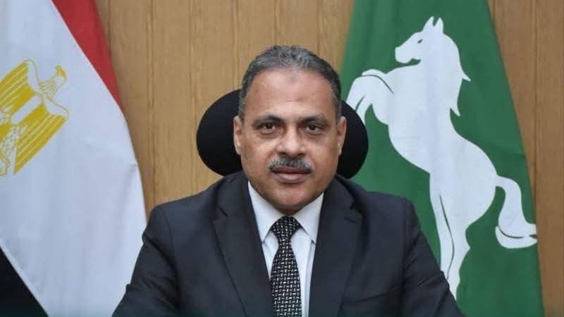 محافظ الشرقية 