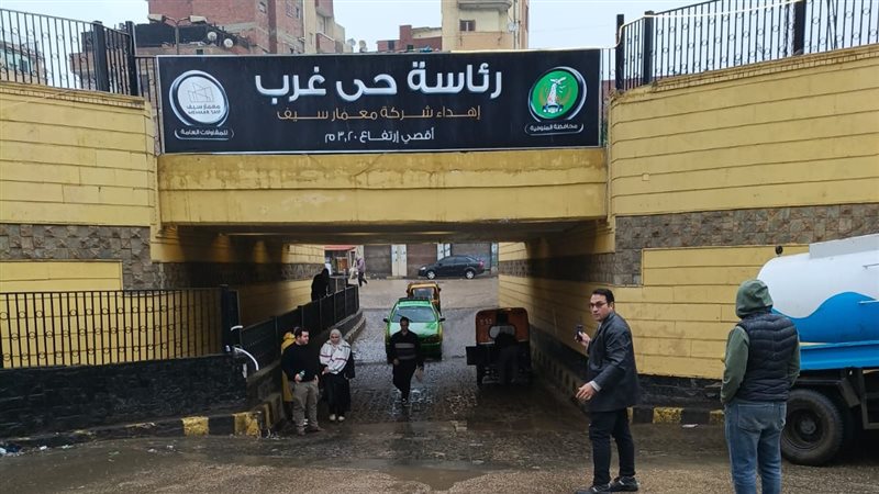 جهود الوحدات المحلية