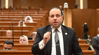  وليد خطاب:جهود مصر الدبلوماسية تثبت دورها كلاعب رئيسي في الاستقرار الإقليمي