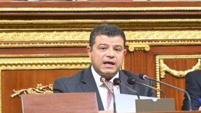  محمد سليمان:البيان المشترك لمجلسي النواب والشيوخ يمثل أعلى درجات الالتفاف الشعبي