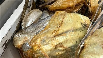 حملات مكثفة بأسيوط لضبط الأسواق والتصدي للأغذية الفاسدة حفاظًا على صحة المواطنين