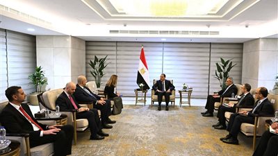 رئيس الوزراء يلتقي المديرة العامة للمنظمة الدولية للهجرة لبحث ملفات الهجرة