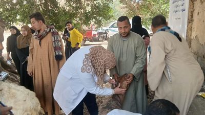 محافظ أسيوط: توزيع 408 رأس أغنام على الأسر المستحقة بالقوصية والفتح ومنفلوط
