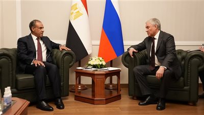 وزير الخارجية يلتقي رئيس مجلس الدوما الروسي
