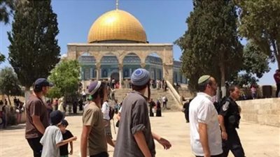 مصر ترفض فرض الأمر الواقع وتدين اقتحام المسجد الأقصى