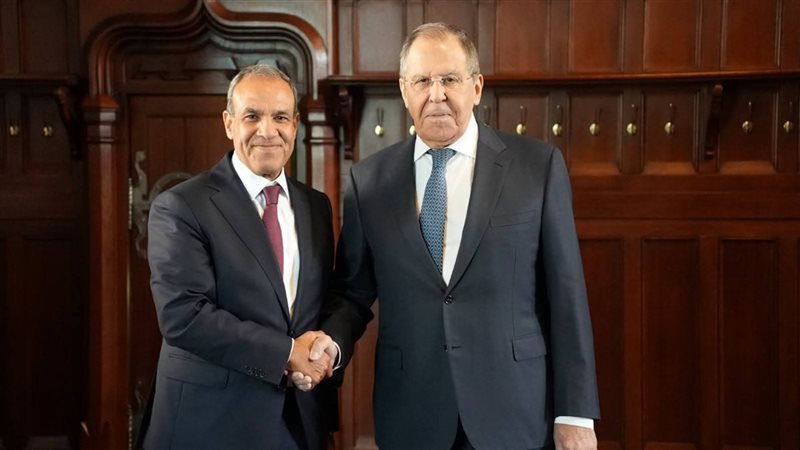 وزيرا خارجية مصر