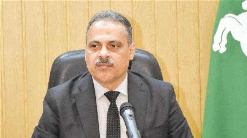 محافظ الشرقية 