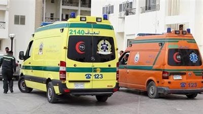  لغز إصابة 5 طلاب بالتسمم في طنطا ينتهي في سراي النيابة