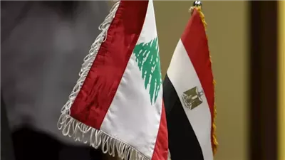 بعد قرار ترامب.. مصر تطالب بوقف الاعتداءات على لبنان فورًا