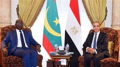 وزير الخارجية يبحث مع نظيره الموريتاني تعزيز التعاون الثنائي والتنسيق الإقليمي