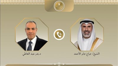 وزير الخارجية يؤكد تضامن مصر الكامل مع الكويت خلال اتصال هاتفي