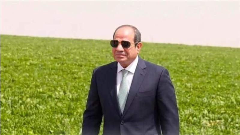 الرئيس عبد الفتاح