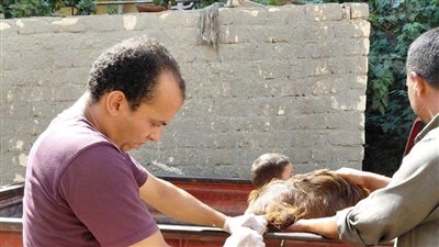 محافظ الإسماعيلية يوجه بتوسيع الخدمات البيطرية للقرى الأكثر احتياجًا