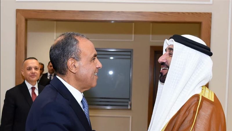 لقاء مصري عربي يبحث