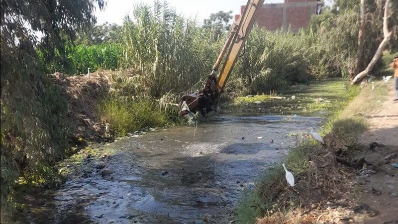     محافظ المنوفية