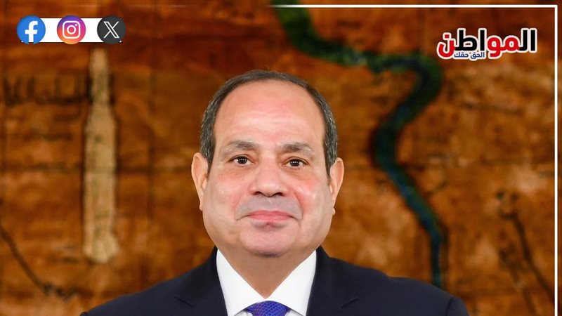 السيسي يصل تنزانيا