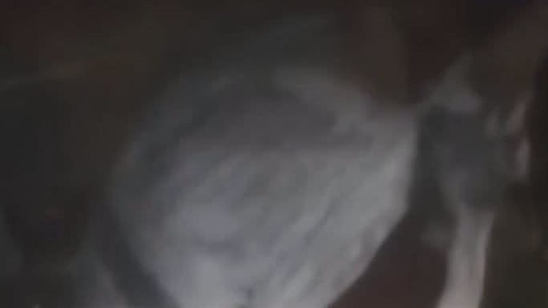 العثور على الجثمان