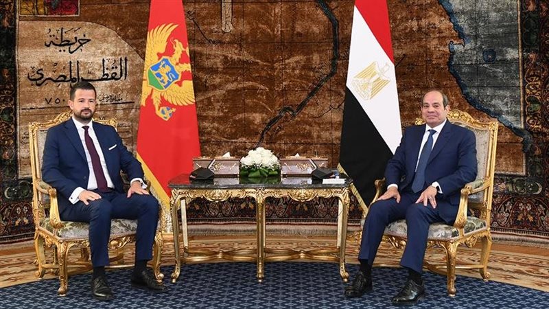 الرئيس السيسي يتلقى دعوة لزيارة الجبل الأسود