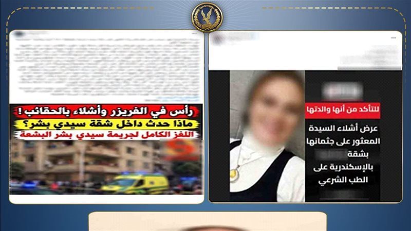 إحالة محامية الإسكندرية